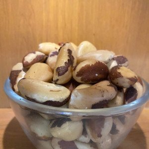 Brazil Nut Brazil Nut